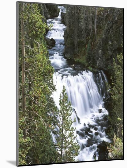 View of Kepler Cascades on Firehole River, Wyoming, USA-Scott T. Smith-Mounted Photographic Print