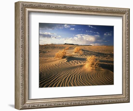 View of Killpecker Sand Dunes at Sunset, Wyoming, USA-Scott T. Smith-Framed Photographic Print