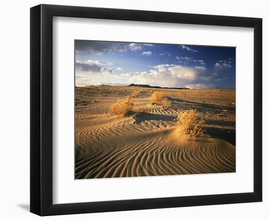 View of Killpecker Sand Dunes at Sunset, Wyoming, USA-Scott T. Smith-Framed Photographic Print