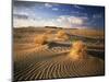 View of Killpecker Sand Dunes at Sunset, Wyoming, USA-Scott T. Smith-Mounted Photographic Print