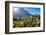 View of Kirstenbosch Botanical Garden, Cape Town, South Africa, Africa-G&M Therin-Weise-Framed Photographic Print