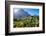 View of Kirstenbosch Botanical Garden, Cape Town, South Africa, Africa-G&M Therin-Weise-Framed Photographic Print