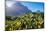 View of Kirstenbosch Botanical Garden, Cape Town, South Africa, Africa-G&M Therin-Weise-Mounted Photographic Print