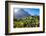 View of Kirstenbosch Botanical Garden, Cape Town, South Africa, Africa-G&M Therin-Weise-Framed Photographic Print