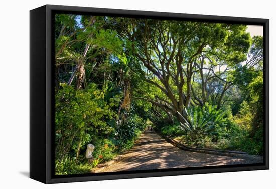 View of Kirstenbosch Botanical Garden, Cape Town, South Africa, Africa-G&M Therin-Weise-Framed Premier Image Canvas