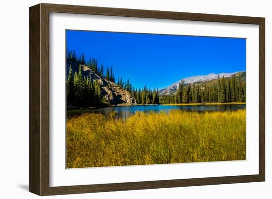 View of lake in Denali National Park, Alaska, United States of America, North America-Laura Grier-Framed Photographic Print