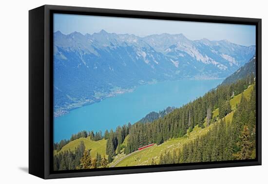 View of Lake Interlaken from Schynige Platte, Bernese Oberland, Swiss Alps, Switzerland, Europe-Christian Kober-Framed Premier Image Canvas