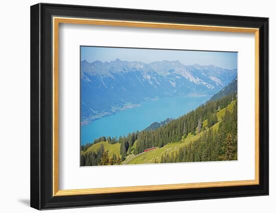 View of Lake Interlaken from Schynige Platte, Bernese Oberland, Swiss Alps, Switzerland, Europe-Christian Kober-Framed Photographic Print