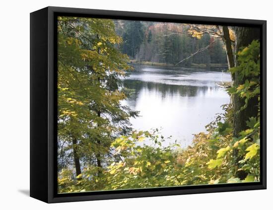 View of Lake Through Tree Branches-null-Framed Premier Image Canvas