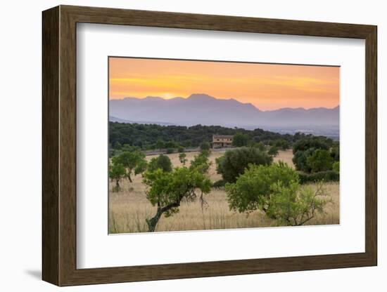 View of landscape with olive trees and mountains at dusk with farmhouse in landscape, Majorca, Bale-John Miller-Framed Photographic Print