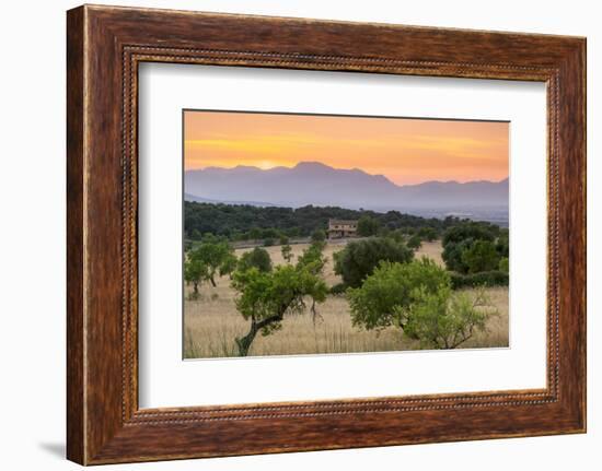 View of landscape with olive trees and mountains at dusk with farmhouse in landscape, Majorca, Bale-John Miller-Framed Photographic Print