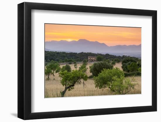 View of landscape with olive trees and mountains at dusk with farmhouse in landscape, Majorca, Bale-John Miller-Framed Photographic Print