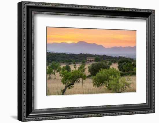 View of landscape with olive trees and mountains at dusk with farmhouse in landscape, Majorca, Bale-John Miller-Framed Photographic Print