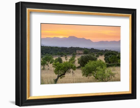 View of landscape with olive trees and mountains at dusk with farmhouse in landscape, Majorca, Bale-John Miller-Framed Photographic Print