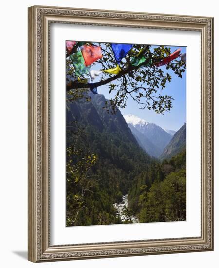 View of Langtang Valley, Langtang Nat'l Park, Bagmati, Central Region (Madhyamanchal), Nepal-Jochen Schlenker-Framed Photographic Print