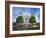 View of Lds Temple with Flowers in Foreground, Salt Lake City, Utah, USA-Scott T. Smith-Framed Photographic Print