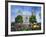 View of Lds Temple with Flowers in Foreground, Salt Lake City, Utah, USA-Scott T. Smith-Framed Photographic Print