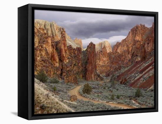 View of Leslie Gulch, Oregon, USA-Don Paulson-Framed Premier Image Canvas