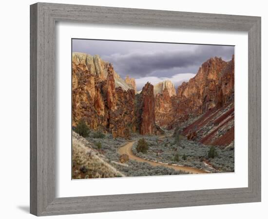 View of Leslie Gulch, Oregon, USA-Don Paulson-Framed Photographic Print