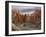 View of Leslie Gulch, Oregon, USA-Don Paulson-Framed Photographic Print