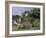 View of Limeuil Across the River Dordogne, Dordogne, Aquitaine, France-Peter Higgins-Framed Photographic Print