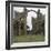 View of Lindisfarne Priory, 7th Century-CM Dixon-Framed Photographic Print