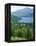 View of Loch Tay and Ben Lawers, Tayside, Scotland, United Kingdom-Adam Woolfitt-Framed Premier Image Canvas