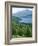 View of Loch Tay and Ben Lawers, Tayside, Scotland, United Kingdom-Adam Woolfitt-Framed Photographic Print