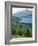 View of Loch Tay and Ben Lawers, Tayside, Scotland, United Kingdom-Adam Woolfitt-Framed Photographic Print