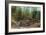 View of Lumberjacks, Logging Scene - Sterling, CA-Lantern Press-Framed Art Print