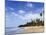 View of Luquillo Beach, Puerto Rico, Caribbean-Dennis Flaherty-Mounted Photographic Print