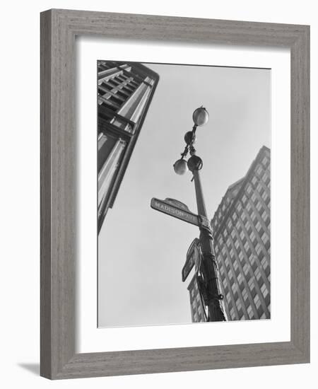 View of Madison Avenue in New York City-Philip Gendreau-Framed Photographic Print