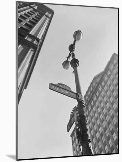 View of Madison Avenue in New York City-Philip Gendreau-Mounted Photographic Print