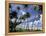 View of Manzanilla Bay, Port of Spain, Trinidad, Caribbean-Greg Johnston-Framed Premier Image Canvas