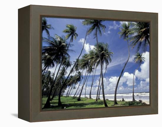 View of Manzanilla Bay, Port of Spain, Trinidad, Caribbean-Greg Johnston-Framed Premier Image Canvas