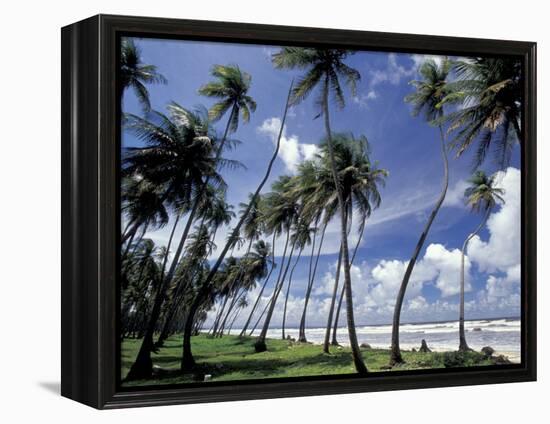 View of Manzanilla Bay, Port of Spain, Trinidad, Caribbean-Greg Johnston-Framed Premier Image Canvas