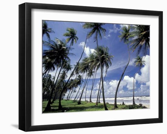 View of Manzanilla Bay, Port of Spain, Trinidad, Caribbean-Greg Johnston-Framed Photographic Print