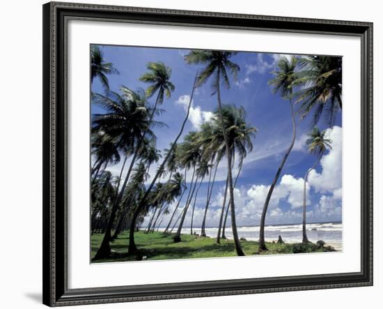 View of Manzanilla Bay, Port of Spain, Trinidad, Caribbean-Greg Johnston-Framed Photographic Print