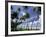 View of Manzanilla Bay, Port of Spain, Trinidad, Caribbean-Greg Johnston-Framed Photographic Print