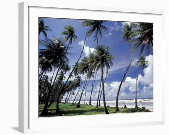 View of Manzanilla Bay, Port of Spain, Trinidad, Caribbean-Greg Johnston-Framed Photographic Print