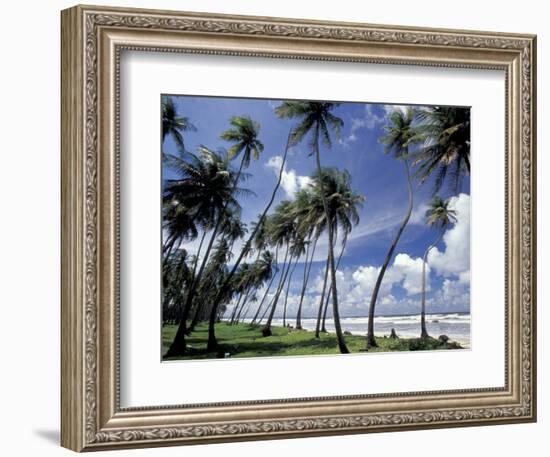 View of Manzanilla Bay, Port of Spain, Trinidad, Caribbean-Greg Johnston-Framed Photographic Print