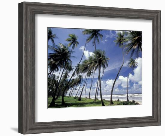 View of Manzanilla Bay, Port of Spain, Trinidad, Caribbean-Greg Johnston-Framed Photographic Print