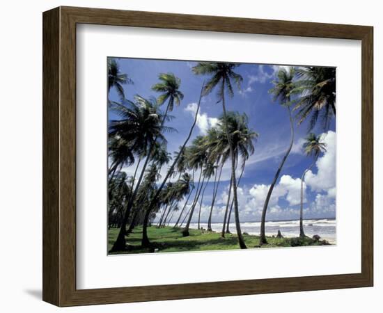 View of Manzanilla Bay, Port of Spain, Trinidad, Caribbean-Greg Johnston-Framed Photographic Print