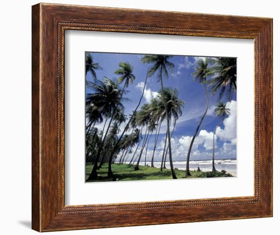 View of Manzanilla Bay, Port of Spain, Trinidad, Caribbean-Greg Johnston-Framed Photographic Print