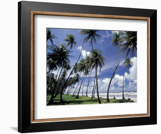 View of Manzanilla Bay, Port of Spain, Trinidad, Caribbean-Greg Johnston-Framed Photographic Print