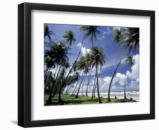 View of Manzanilla Bay, Port of Spain, Trinidad, Caribbean-Greg Johnston-Framed Photographic Print