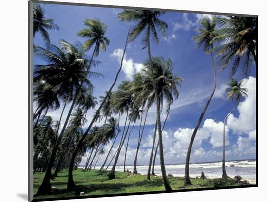 View of Manzanilla Bay, Port of Spain, Trinidad, Caribbean-Greg Johnston-Mounted Photographic Print