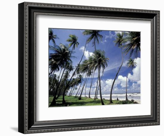 View of Manzanilla Bay, Port of Spain, Trinidad, Caribbean-Greg Johnston-Framed Photographic Print