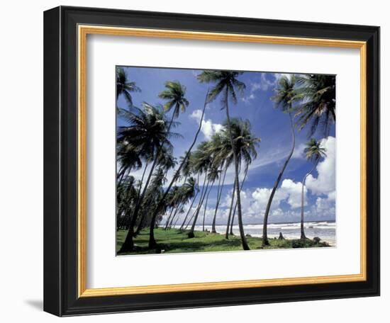 View of Manzanilla Bay, Port of Spain, Trinidad, Caribbean-Greg Johnston-Framed Photographic Print