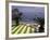 View of Mazzaro Beach from Restaurant, Taormina, Sicily, Italy-Connie Ricca-Framed Photographic Print